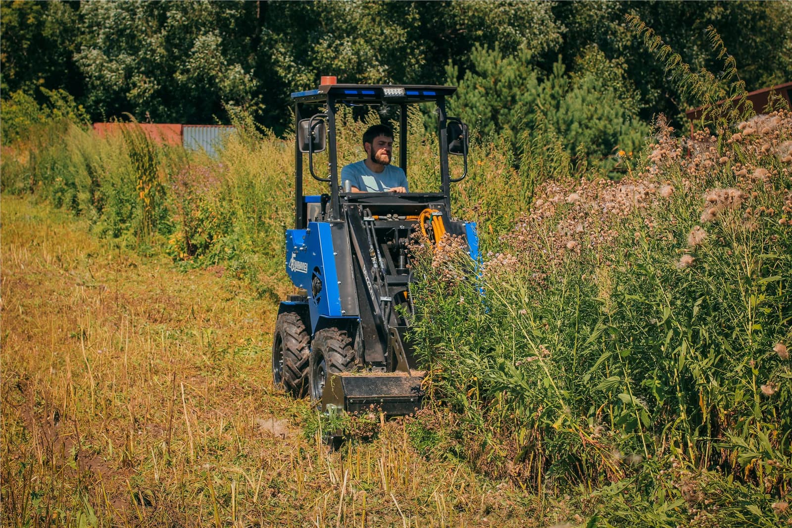 Барнаулец в высокой траве